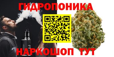 гидропоника Кунгур
